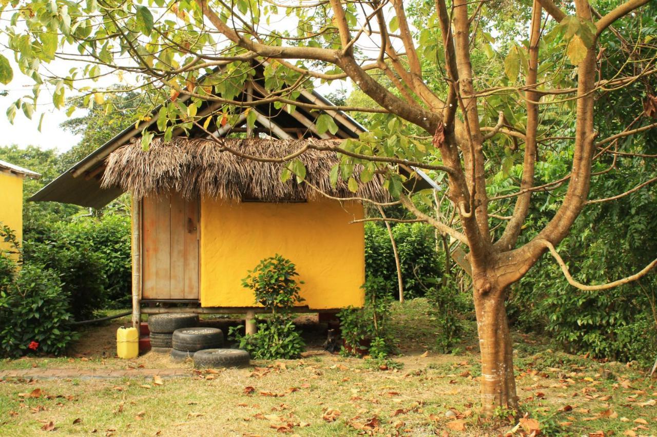Maracumbo Lodge Mompiche Eksteriør billede